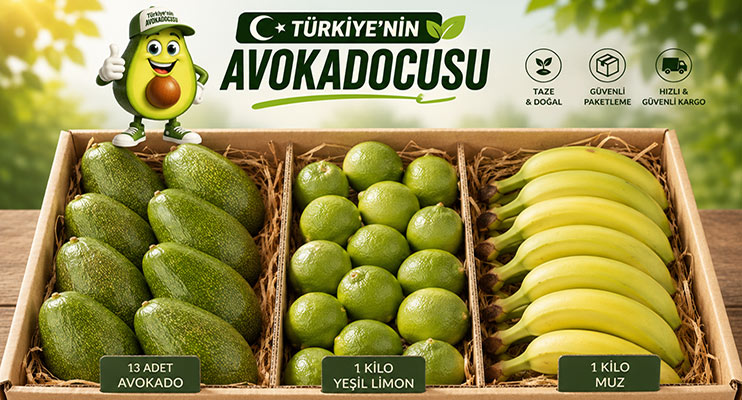 Taze Avokado