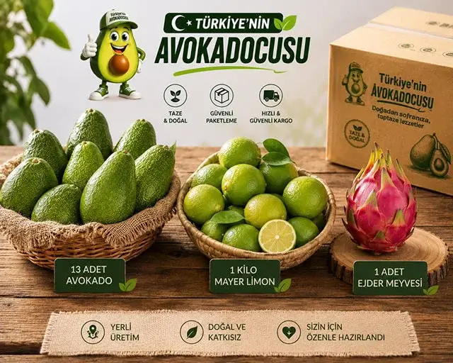 Taze Avokado